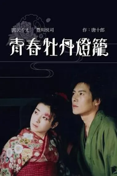 青春牡丹灯笼 封面
