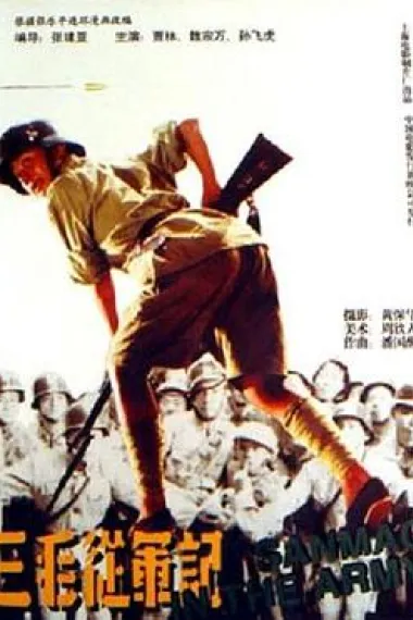 三毛从军记 封面