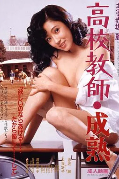 高校教师 成熟 封面