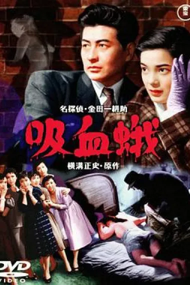 吸血飞蛾 封面