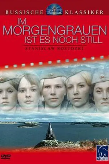Similar Movie Cover