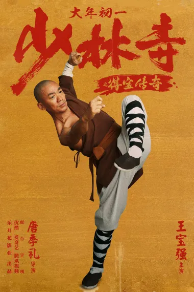 少林寺之得宝传奇 封面
