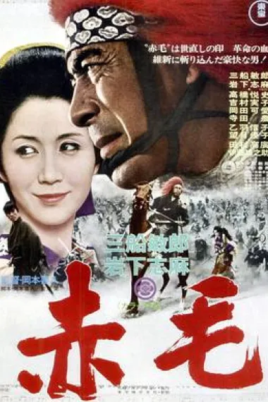赤毛 封面