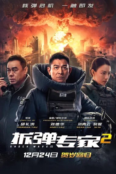 拆弹专家2 封面