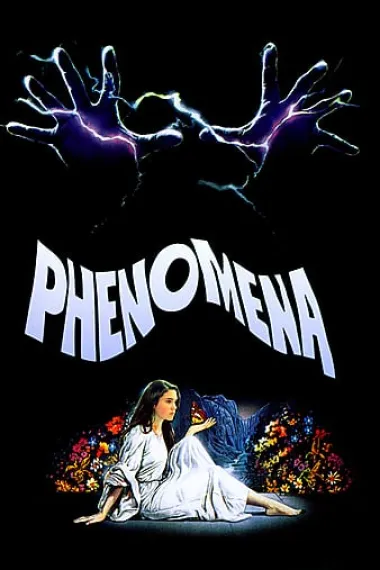 Similar Movie Cover