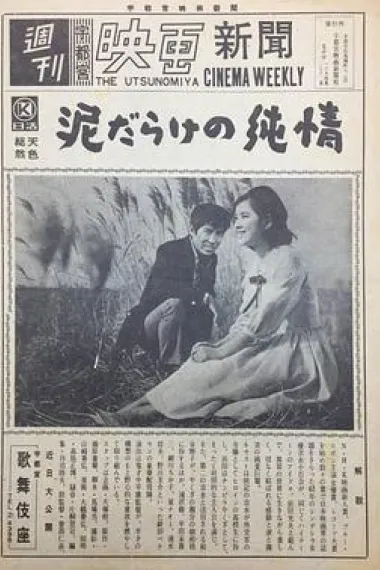 污泥里的纯情 封面