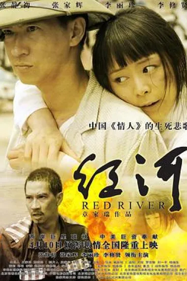 Similar Movie Cover