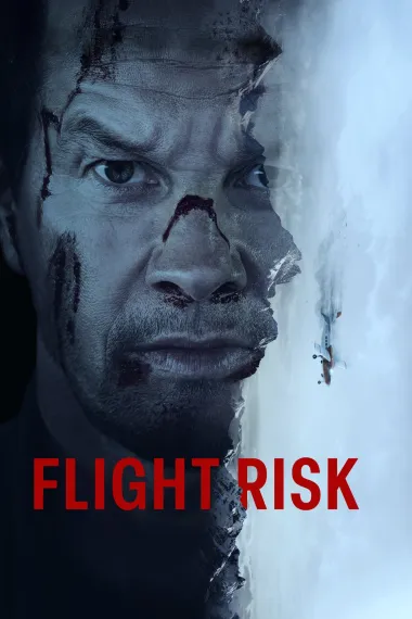 Similar Movie Cover
