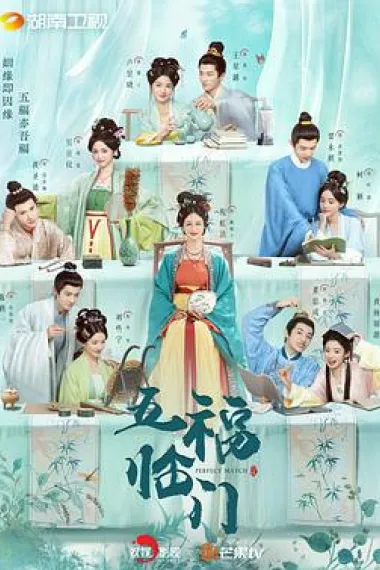 Similar TV Cover