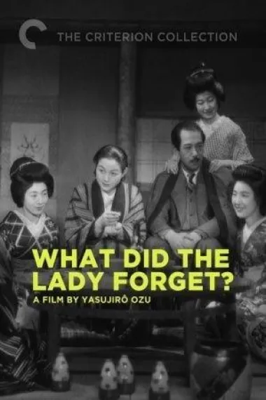 淑女忘记了什么 封面