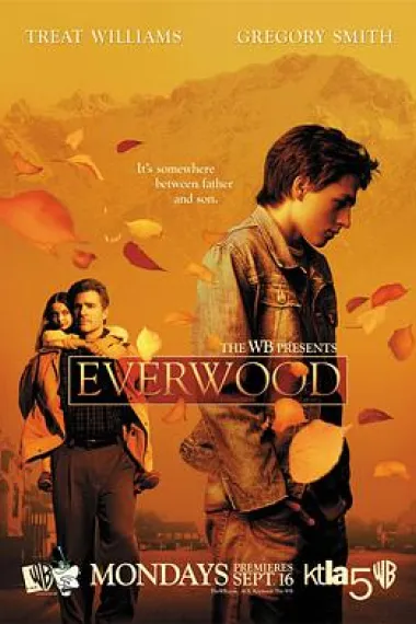 Similar TV Cover