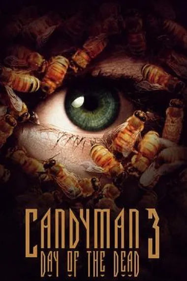 Similar Movie Cover
