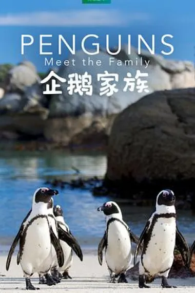 企鹅家族 封面