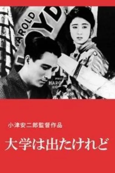 我毕业了，但…… 封面