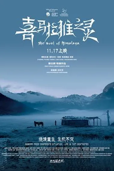 喜马拉雅之灵 封面