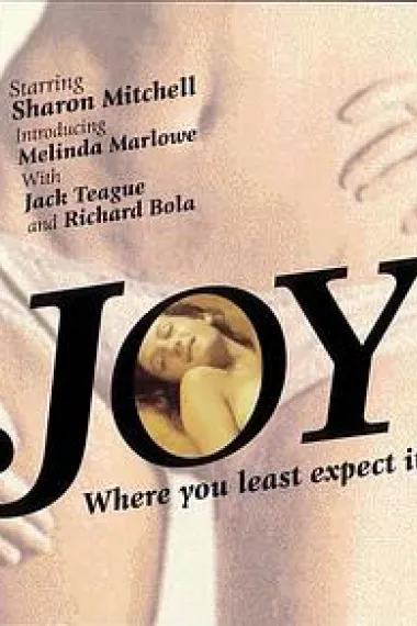 Joy 封面