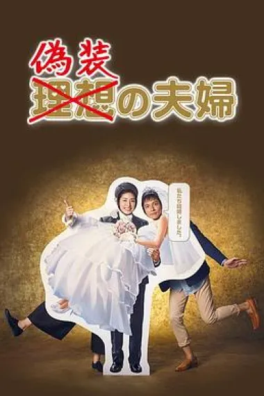 伪装夫妇 封面