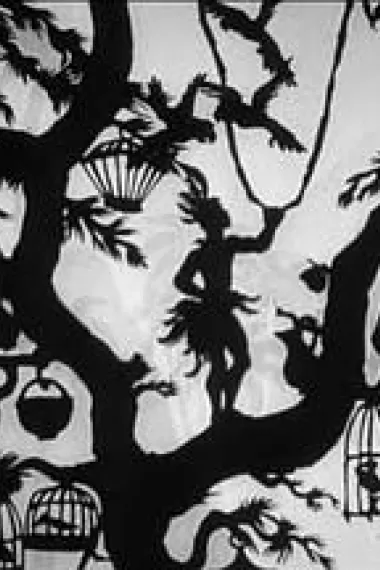 帕帕盖诺 封面