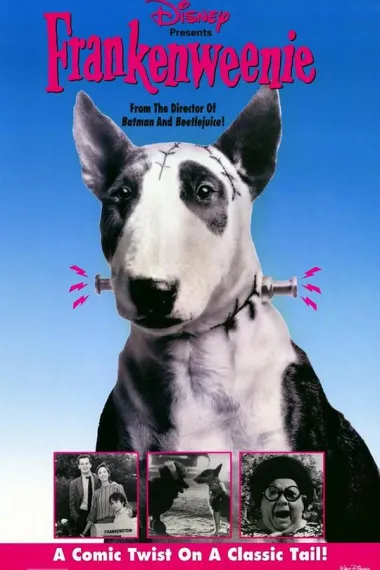 Similar Movie Cover