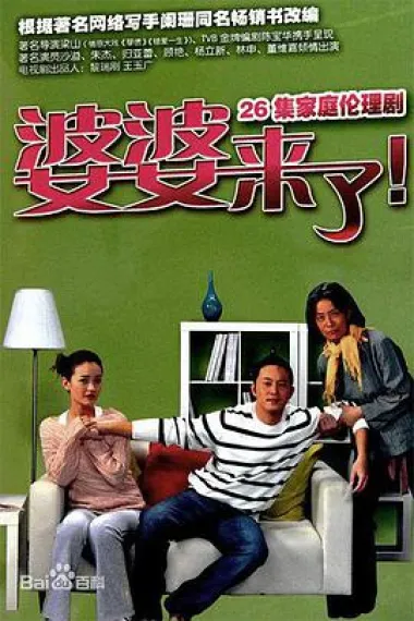 婆婆来了 封面