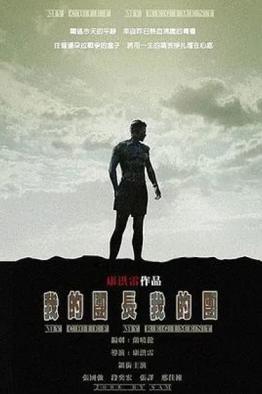 我的团长我的团 封面
